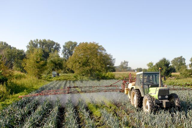 Članstvo Srbije u Evropskoj uniji znači nove šanse za poljoprivredu i industriju