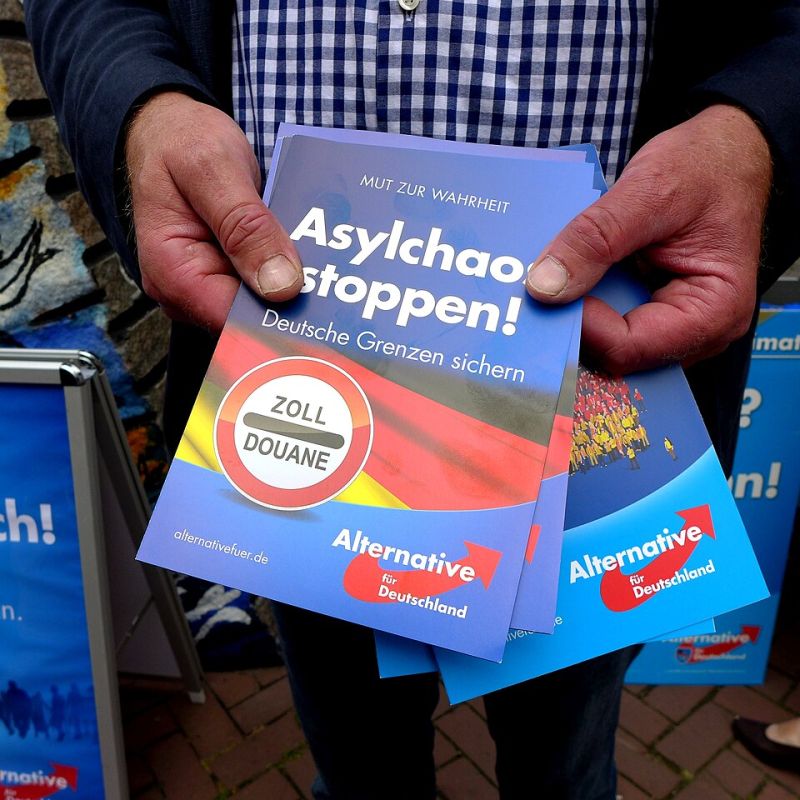 Uspeh AfD u &bdquo;zaboravljenim regionima&ldquo;