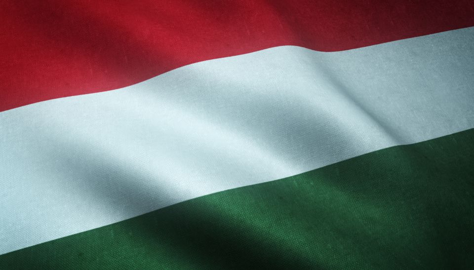 Predsednica Mađarske podnela ostavku usled skandala - Izabran novi predsednik
