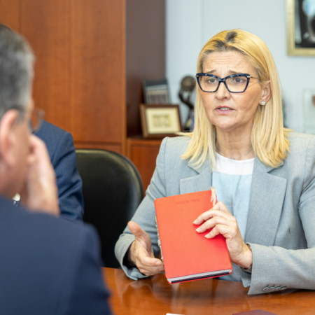 Miščević u Odboru za evropske integracije predstavila izveštaj o pristupnim pregovorima Srbije tokom češkog predsedavanja