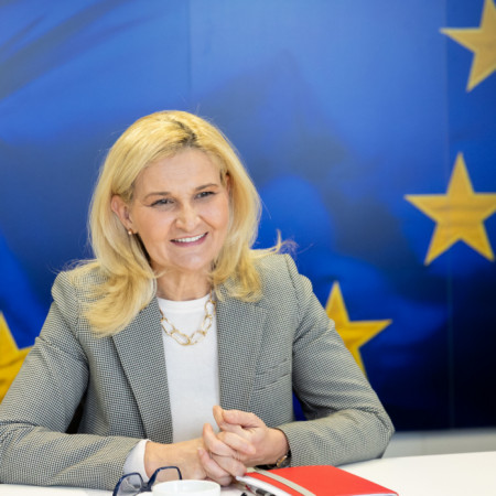 Miščević: Reforme vladavine prava najvažnije za evropske integracije