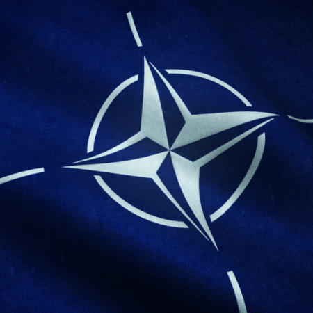Švedska se pridružuje Finskoj, ide u NATO