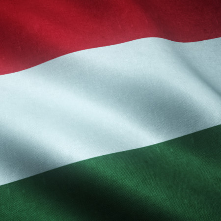 Predsednica Mađarske podnela ostavku usled skandala - Izabran novi predsednik